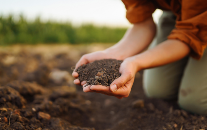 Eco-friendly mulch