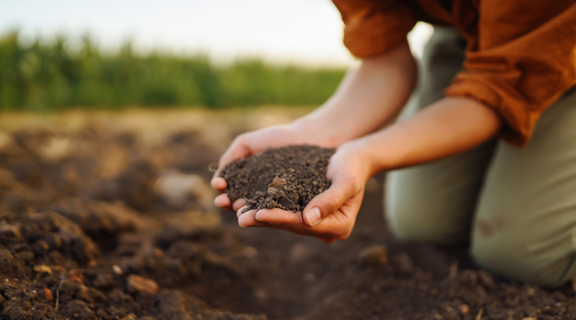 Eco-friendly mulch