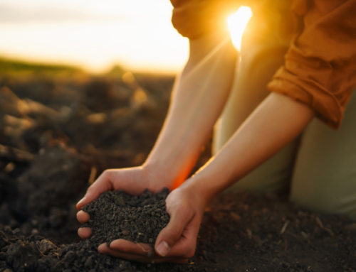 Repurposing Yard Waste into Organic Lawn Products