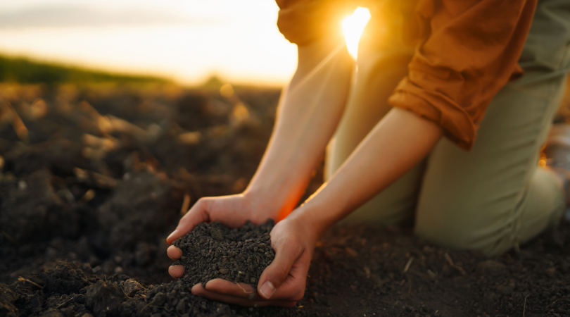 Eco-friendly mulch