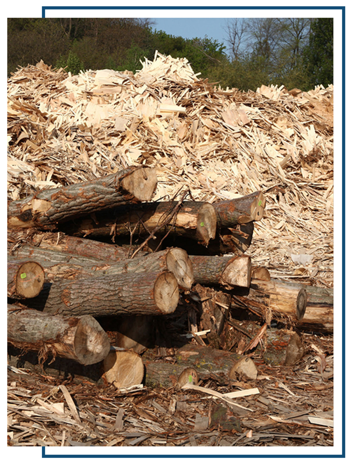 Large-scale compost production