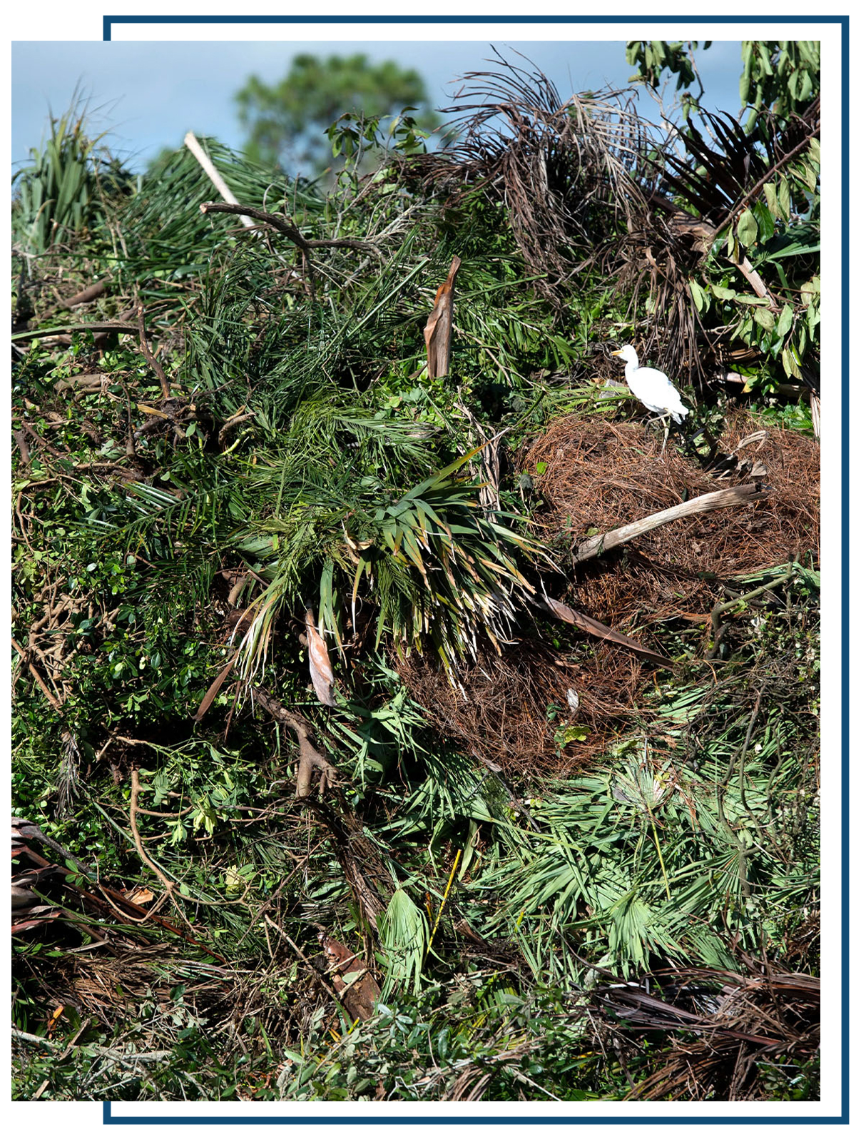 Large-scale compost production