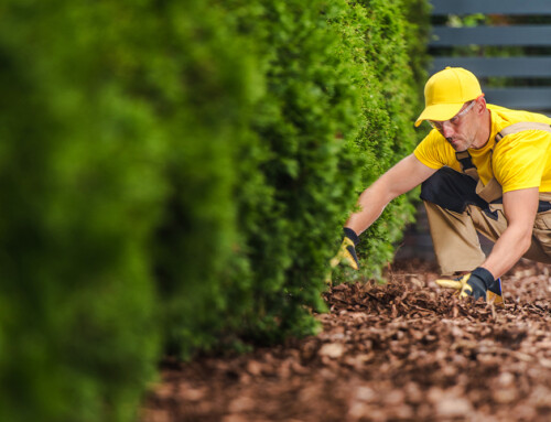 Your Spring Guide to Effective Mulching