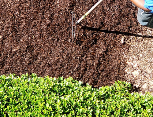 Spring Season: Time to Mulch Your Beds