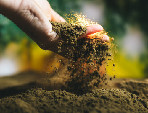 Types of Soil and Soil Amendments