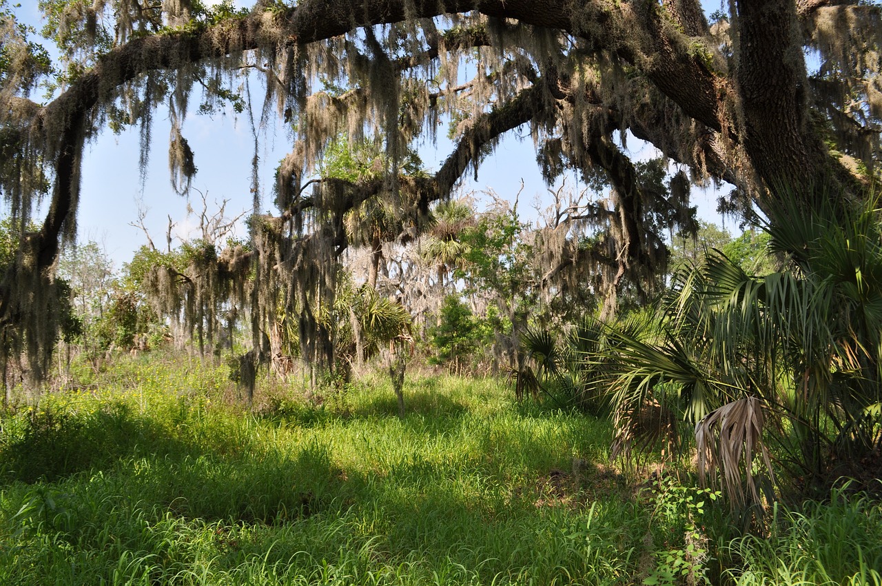 green waste management Florida