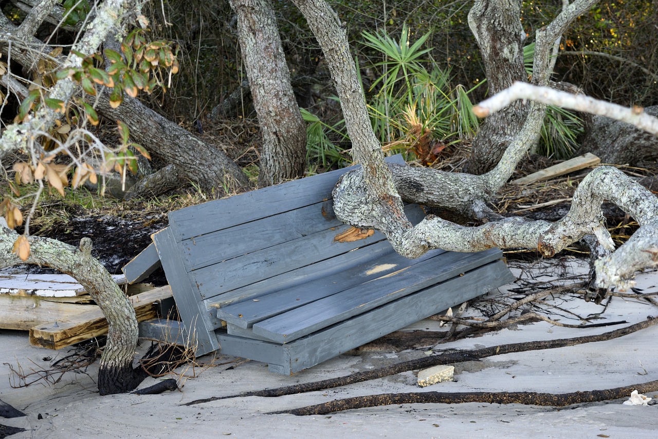 Florida yard waste intake centers