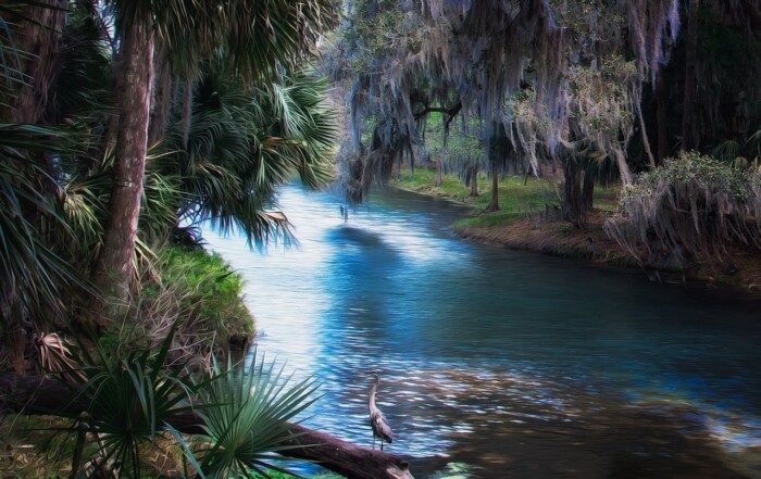 sustainable organic mulch