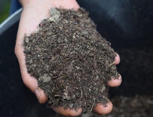 The Science of Soil Regeneration: Compost’s Role in Sustainable Farming