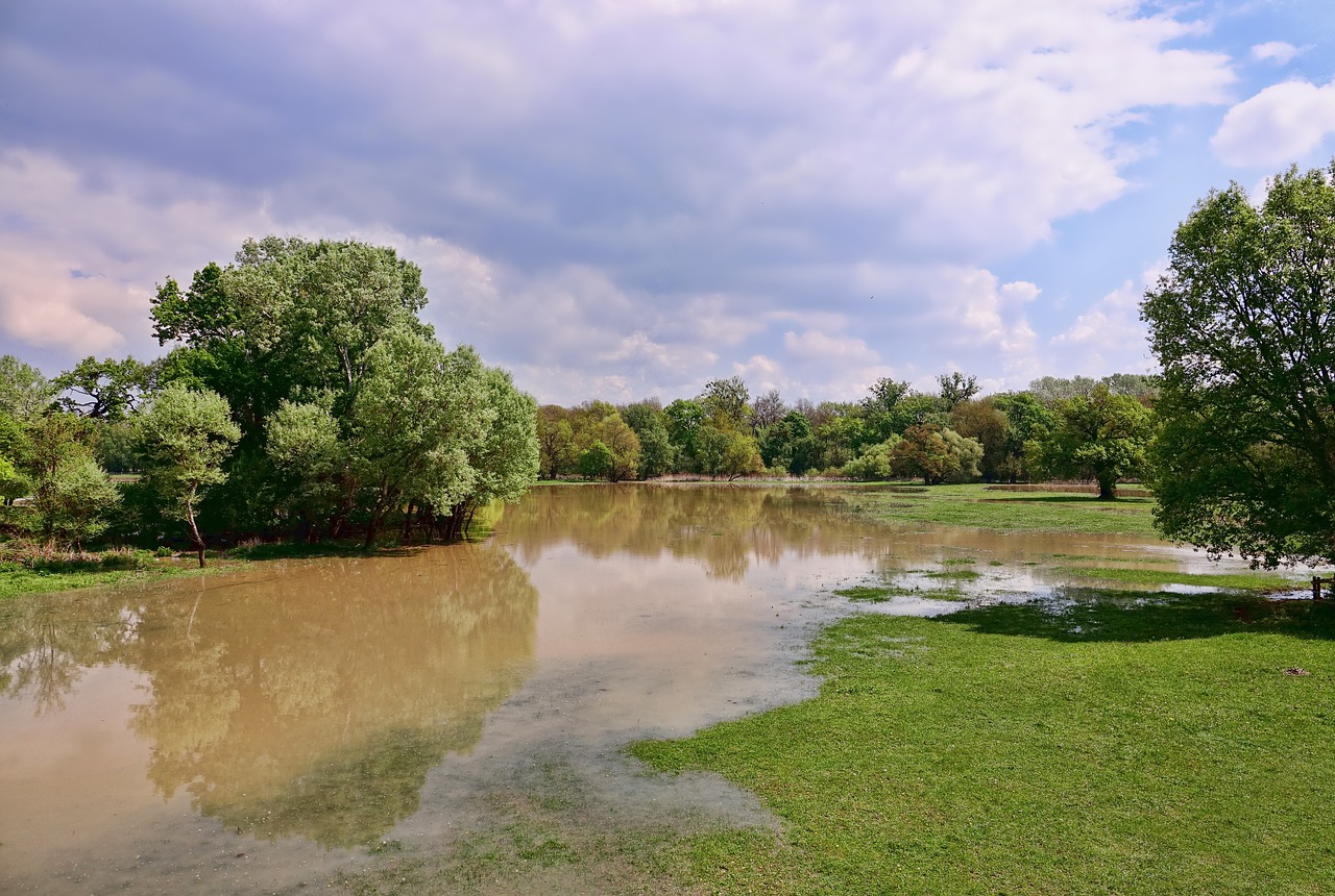 preventing a flooded yard, mulch and compost