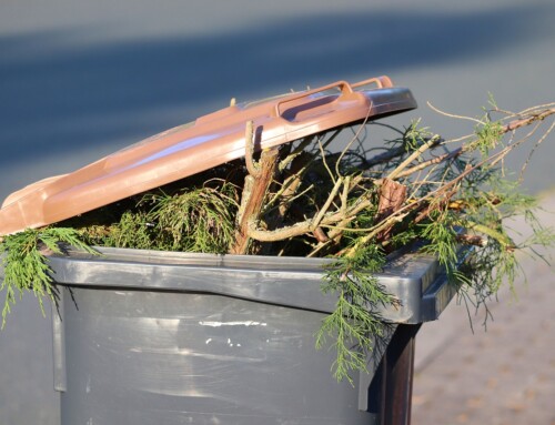 The Impact of Green Waste Recycling