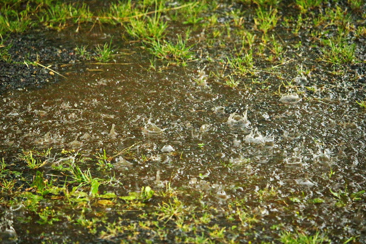 organic soil amendments