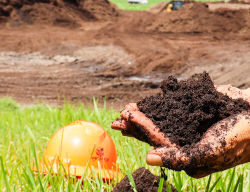 Veransa’s Practice of Clean Composting — What More People Should Know