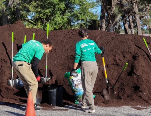 Why Cities Are Turning to Compost