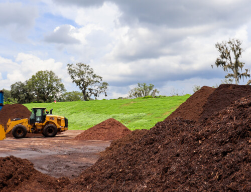 Simple Ways to Care for Your Compost This Winter
